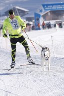 Lenk 2013